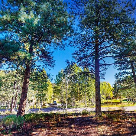 Pinon Pines Villa South Fork Dış mekan fotoğraf